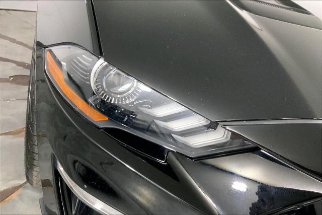 2023 Ford Mustang Vehicle Photo in INDEPENDENCE, MO 64055-1314