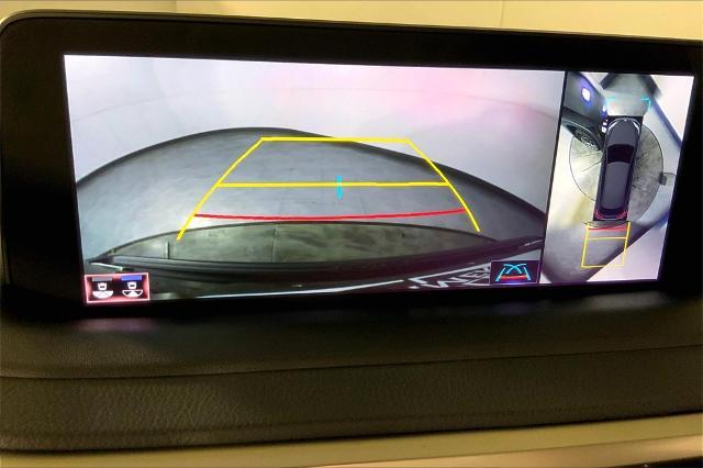 2020 Lexus RX 350 Vehicle Photo in Lees Summit, MO 64086