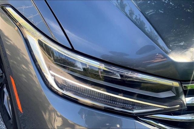 2024 Volkswagen Tiguan Vehicle Photo in KANSAS CITY, MO 64114-4545
