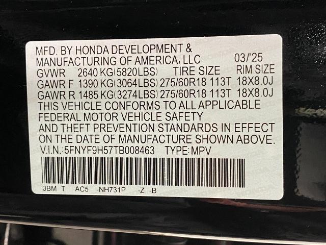 2026 Honda Passport Vehicle Photo in Appleton, WI 54913