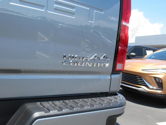 2025 Chevrolet Silverado 2500 HD Vehicle Photo in LEESBURG, FL 34788-4022