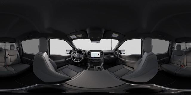 2025 Ford F-150 Vehicle Photo in Weatherford, TX 76087