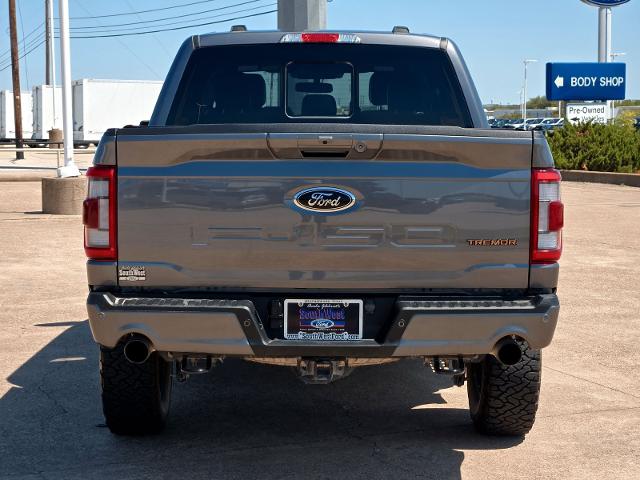 2023 Ford F-150 Vehicle Photo in Weatherford, TX 76087