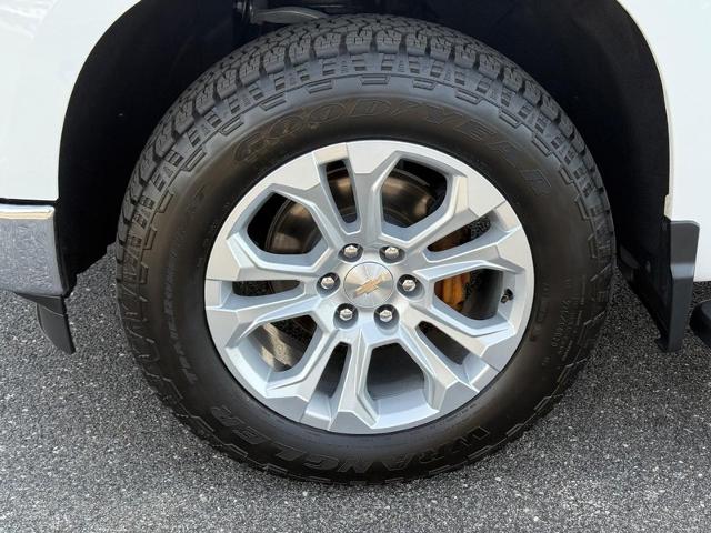 2024 Chevrolet Silverado 1500 Vehicle Photo in COLUMBIA, MO 65203-3903