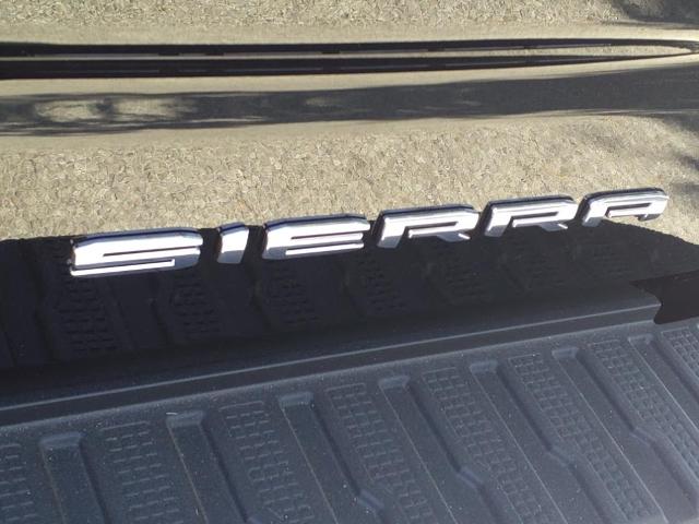2025 GMC Sierra 1500 Vehicle Photo in Denton, TX 76205