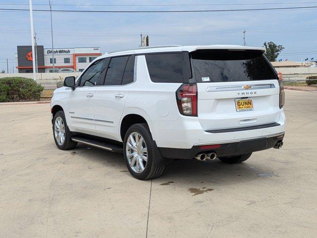 2024 Chevrolet Tahoe Vehicle Photo in SELMA, TX 78154-1459