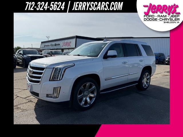2020 Cadillac Escalade Vehicle Photo in Lennox, SD 57039