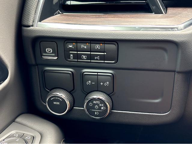 2025 Chevrolet Tahoe Vehicle Photo in BEAUFORT, SC 29906-4218