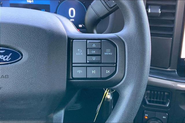 2024 Ford F-150 Vehicle Photo in KANSAS CITY, MO 64114-4502