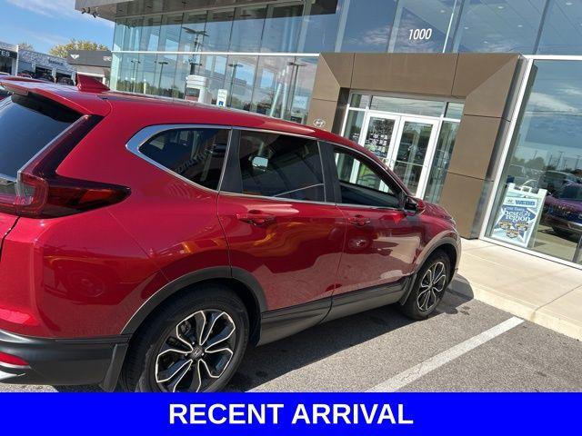 2022 Honda CR-V Vehicle Photo in Merrillville, IN 46410