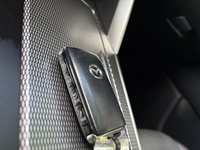 2024 Mazda CX-90 Vehicle Photo in Statesboro, GA 30458