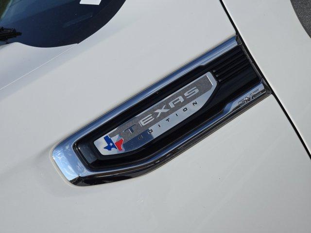 2023 GMC Sierra 1500 Vehicle Photo in Decatur, TX 76234