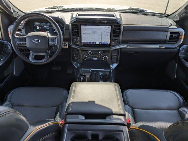 2023 Ford F-150 Vehicle Photo in SELMA, TX 78154-1459
