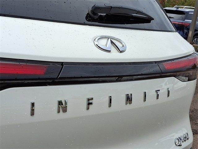 2024 INFINITI QX60 Vehicle Photo in Willow Grove, PA 19090