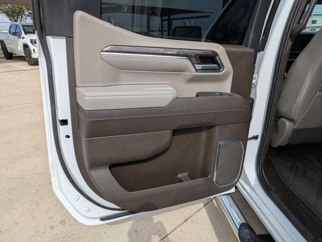 2023 Chevrolet Silverado 1500 Vehicle Photo in SELMA, TX 78154-1459