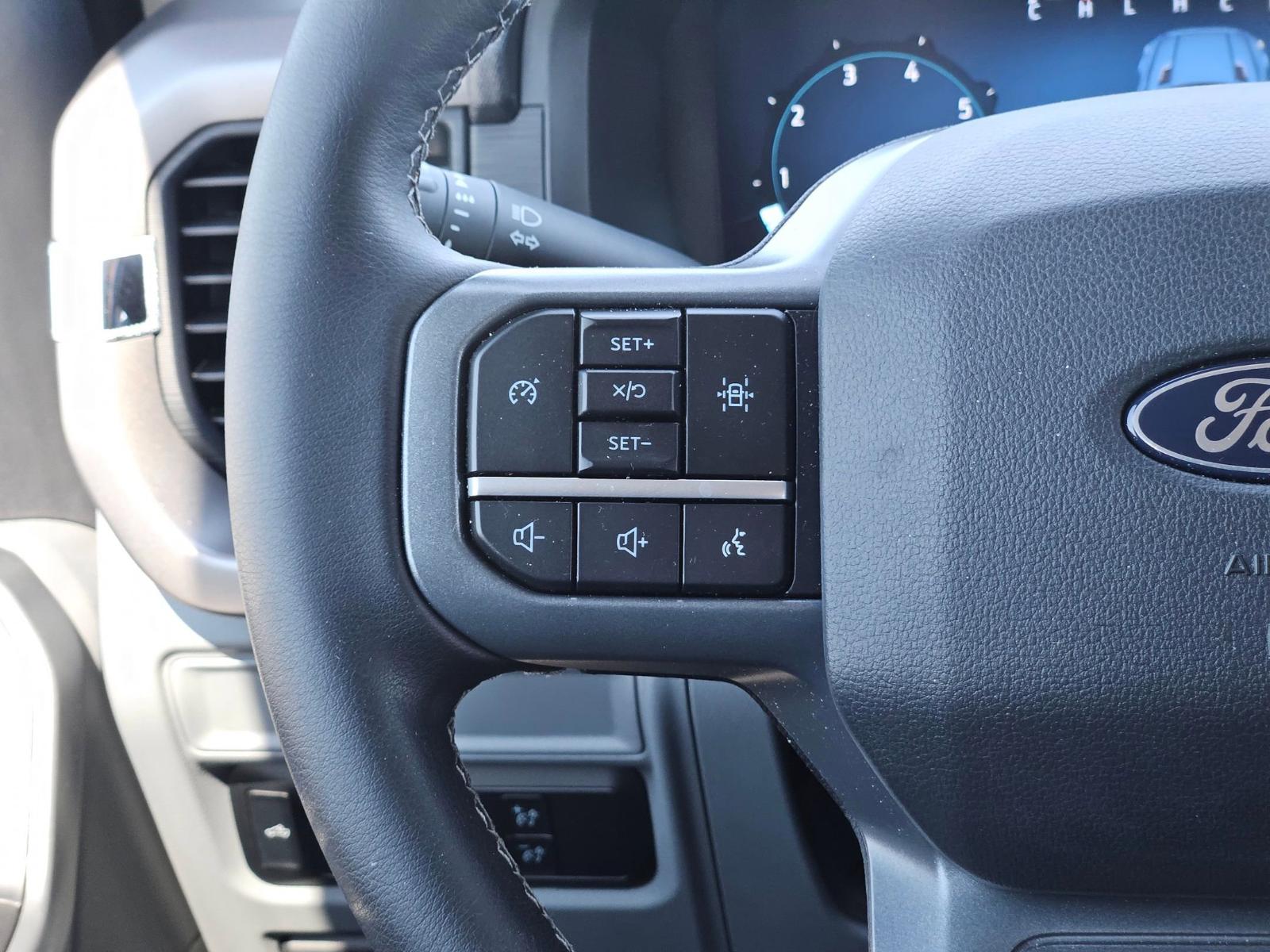 2024 Ford F-150 Vehicle Photo in Seguin, TX 78155