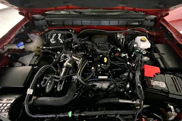 2023 Ford Bronco Vehicle Photo in Lees Summit, MO 64086
