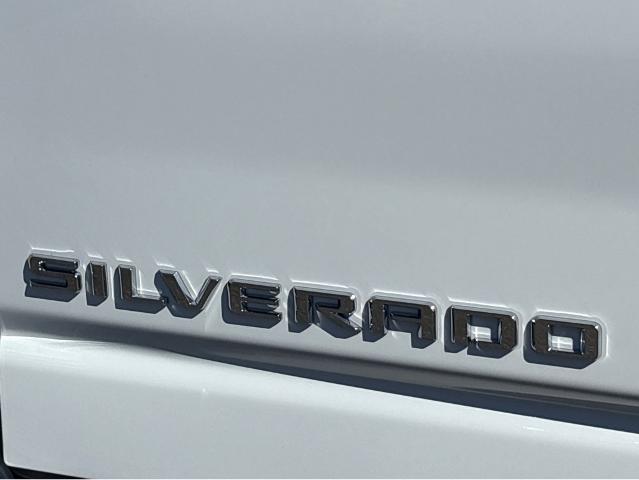 2025 Chevrolet Silverado 2500 HD Vehicle Photo in SAVANNAH, GA 31406-4513