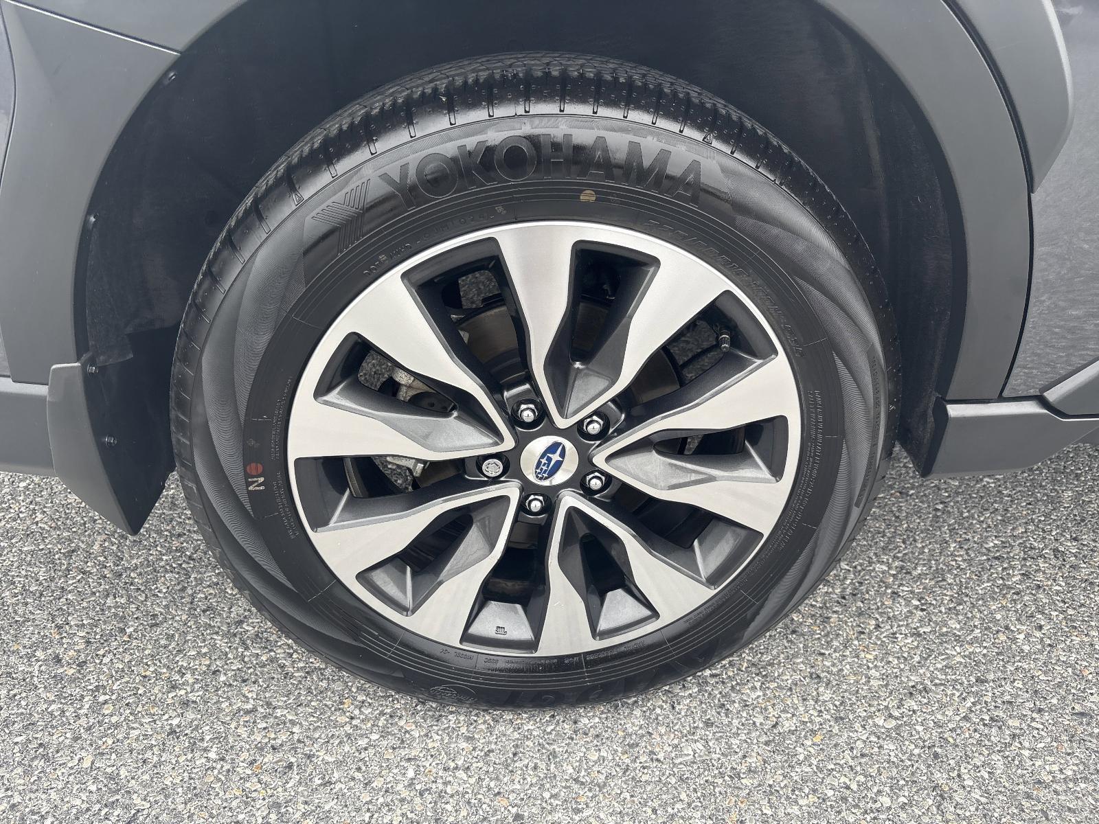 2025 Subaru Outback Vehicle Photo in Mechanicsburg, PA 17050