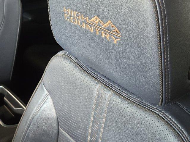 2024 Chevrolet Silverado 1500 Vehicle Photo in Decatur, TX 76234