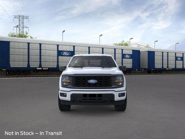2025 Ford F-150 Vehicle Photo in Weatherford, TX 76087