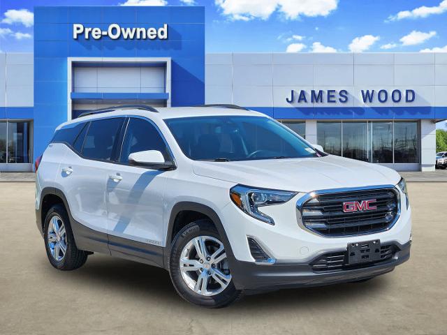 2020 GMC Terrain Vehicle Photo in DENTON, TX 76210-9321