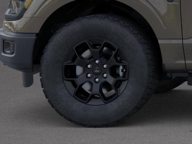 2025 Ford F-150 Vehicle Photo in Weatherford, TX 76087