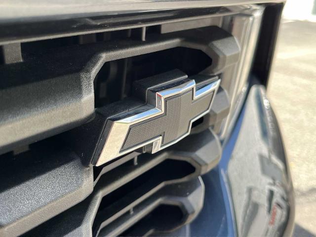 2020 Chevrolet Silverado 1500 Vehicle Photo in PITTSBURGH, PA 15226-1209
