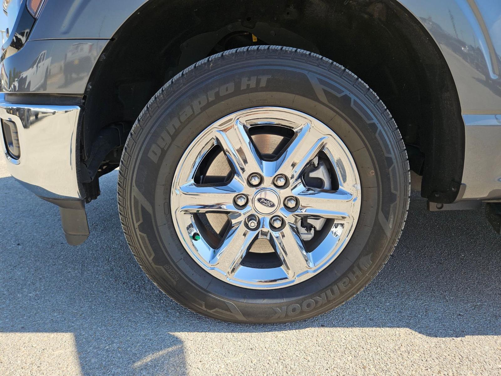 2024 Ford F-150 Vehicle Photo in Seguin, TX 78155