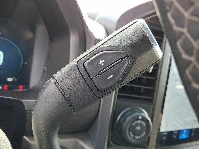 2024 Ford F-150 Vehicle Photo in Philadelphia, PA 19116