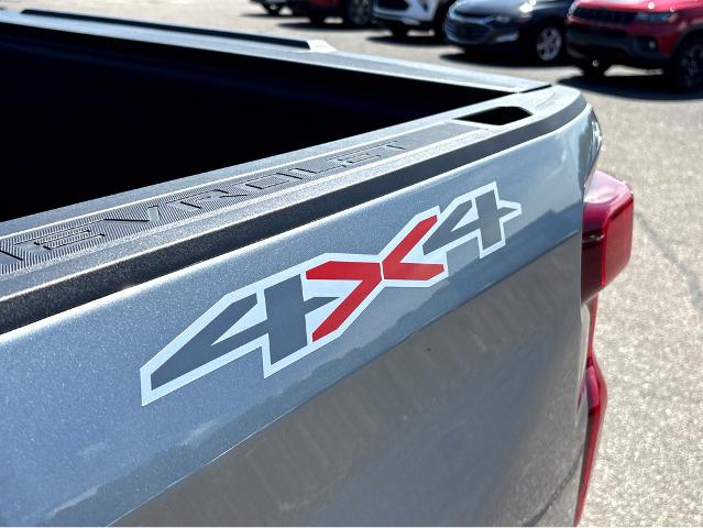 2025 Chevrolet Silverado 1500 Vehicle Photo in BEAUFORT, SC 29906-4218