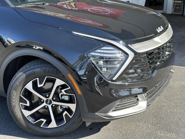 2025 Kia Sportage Vehicle Photo in Tucson, AZ 85712