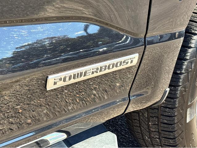 2024 Ford F-150 Vehicle Photo in BEAUFORT, SC 29906-4218