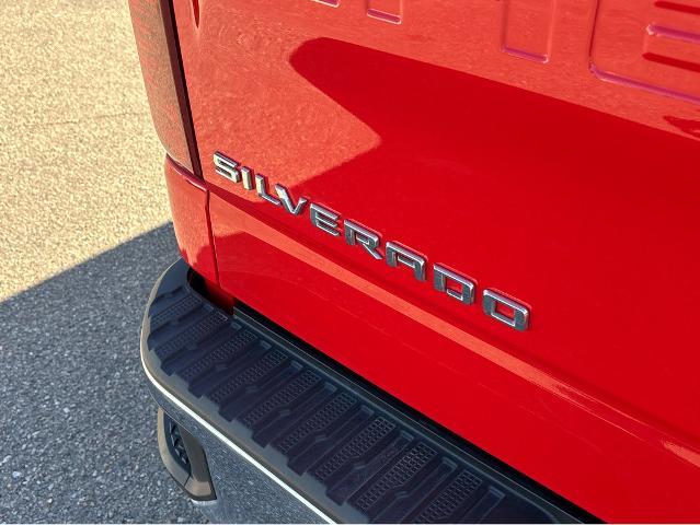 2024 Chevrolet Silverado 1500 Vehicle Photo in BEAUFORT, SC 29906-4218