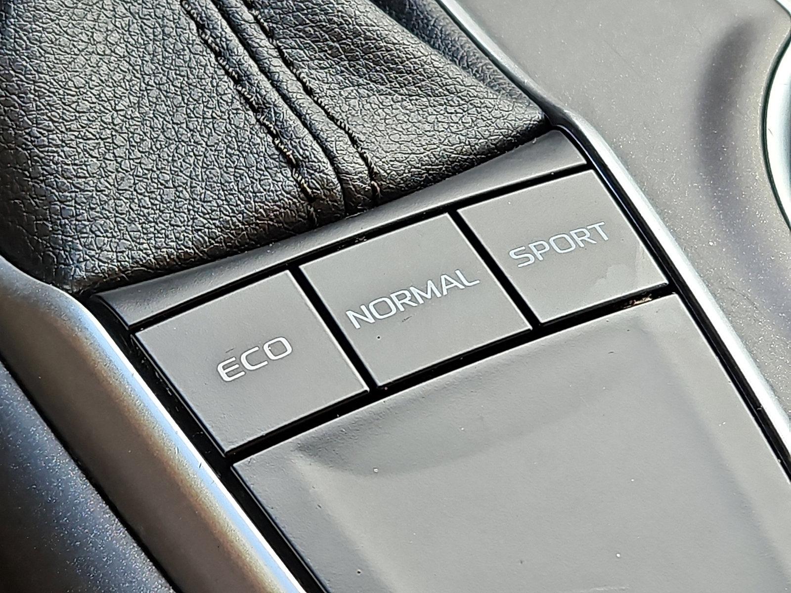 2022 Toyota Camry Vehicle Photo in Jenkintown, PA 19046