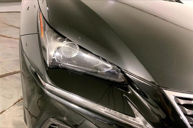 2020 Lexus NX 300h Vehicle Photo in Lees Summit, MO 64086