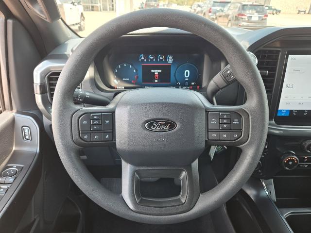 2025 Ford F-150 Vehicle Photo in Weatherford, TX 76087