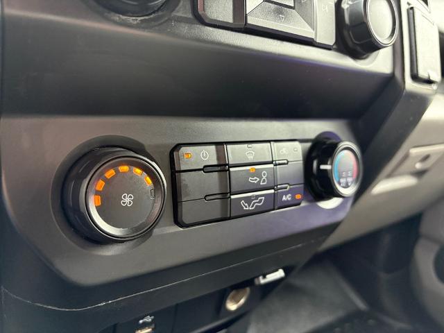 2019 Ford F-150 Vehicle Photo in Savannah, GA 31419