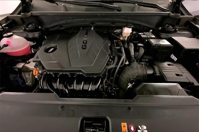 2024 Kia Sportage Vehicle Photo in Lees Summit, MO 64086