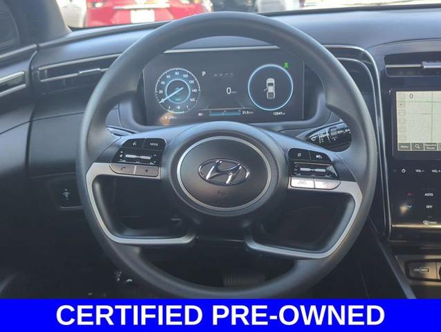 2024 Hyundai SANTA CRUZ Vehicle Photo in Merrillville, IN 46410