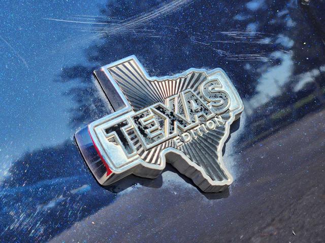 2021 Ford F-150 Vehicle Photo in DENTON, TX 76210-9321