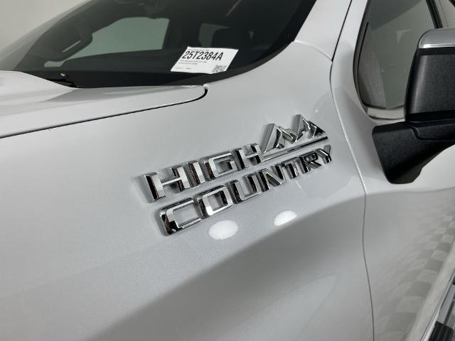 2023 Chevrolet Silverado 1500 Vehicle Photo in GILBERT, AZ 85297-0402