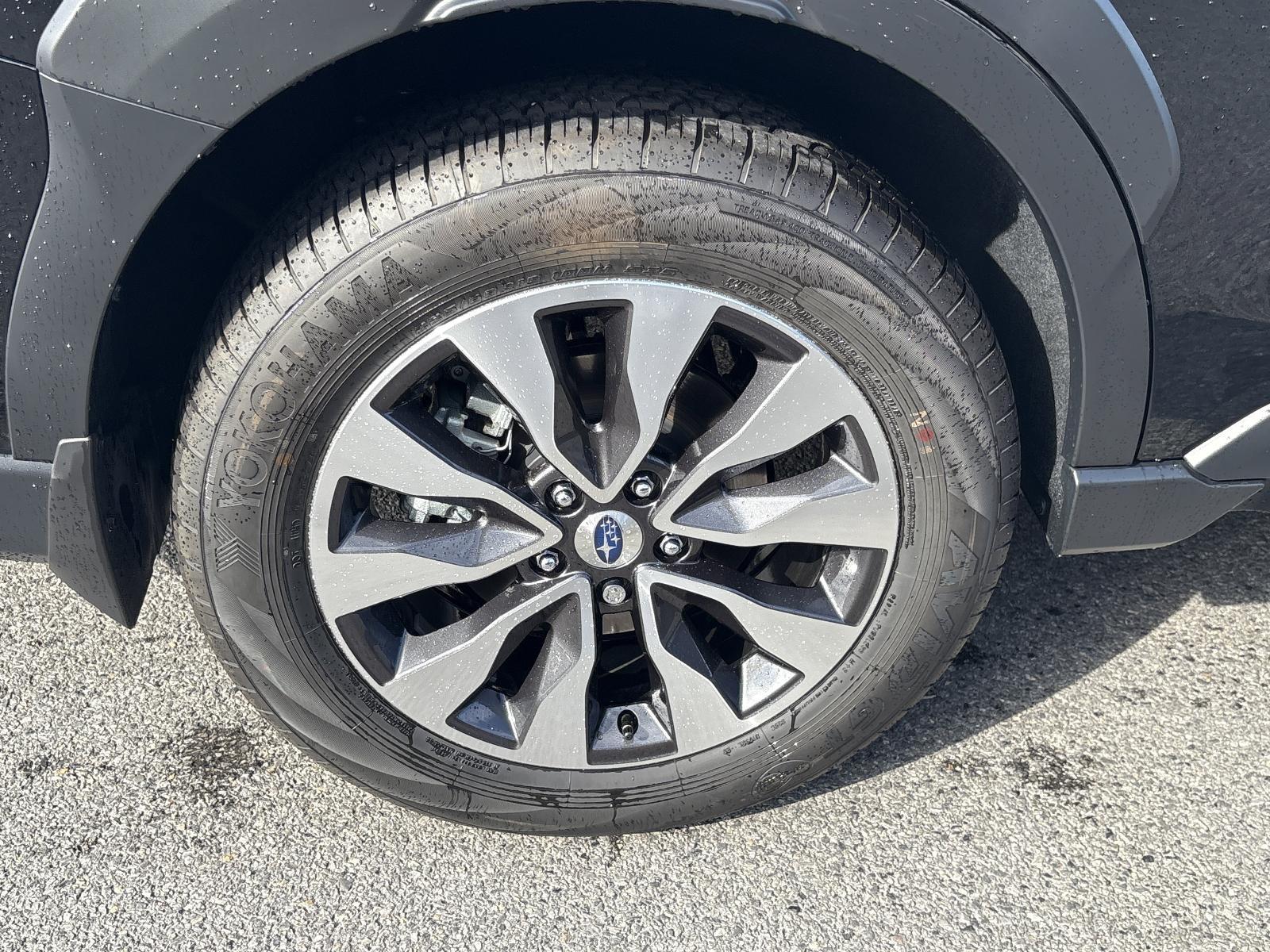 2025 Subaru Outback Vehicle Photo in Mechanicsburg, PA 17050