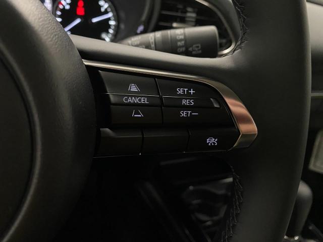 2025 Mazda CX-30 Vehicle Photo in Appleton, WI 54913