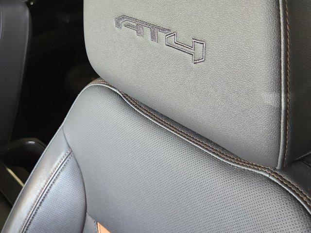 2024 GMC Sierra 1500 Vehicle Photo in Decatur, TX 76234