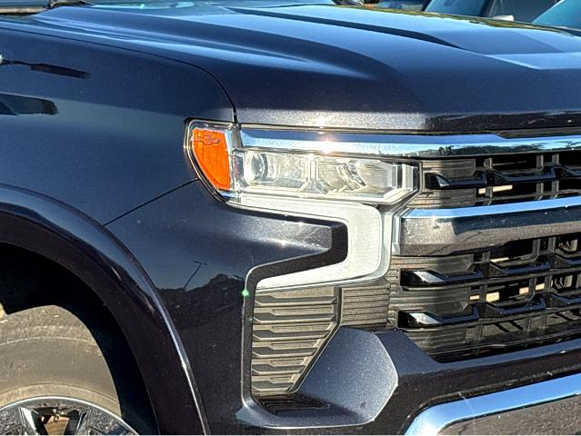 2023 Chevrolet Silverado 1500 Vehicle Photo in BEAUFORT, SC 29906-4218