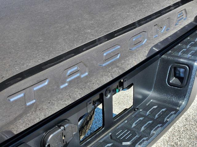 2020 Toyota Tacoma 4WD Vehicle Photo in DENTON, TX 76210-9321