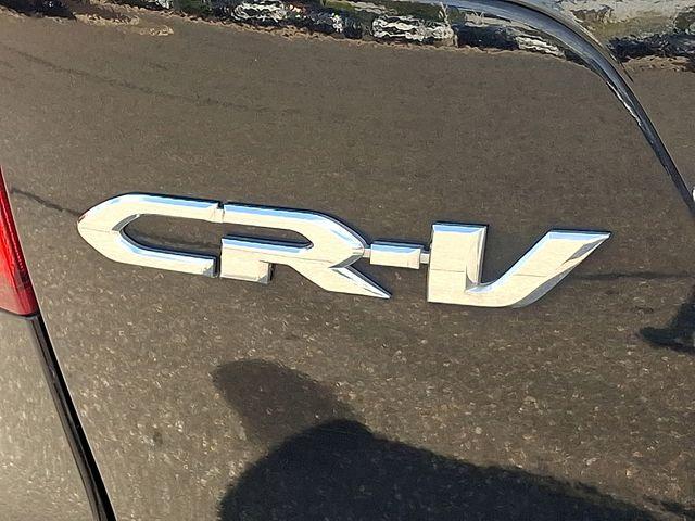 2014 Honda CR-V Vehicle Photo in DANBURY, CT 06810-5034