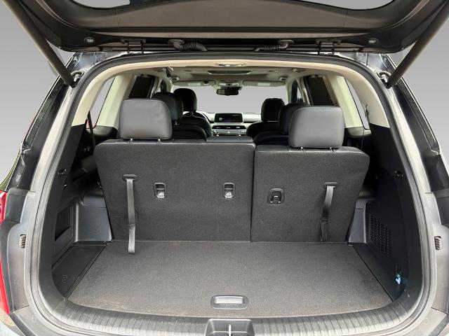 2022 Kia Telluride Vehicle Photo in Savannah, GA 31419