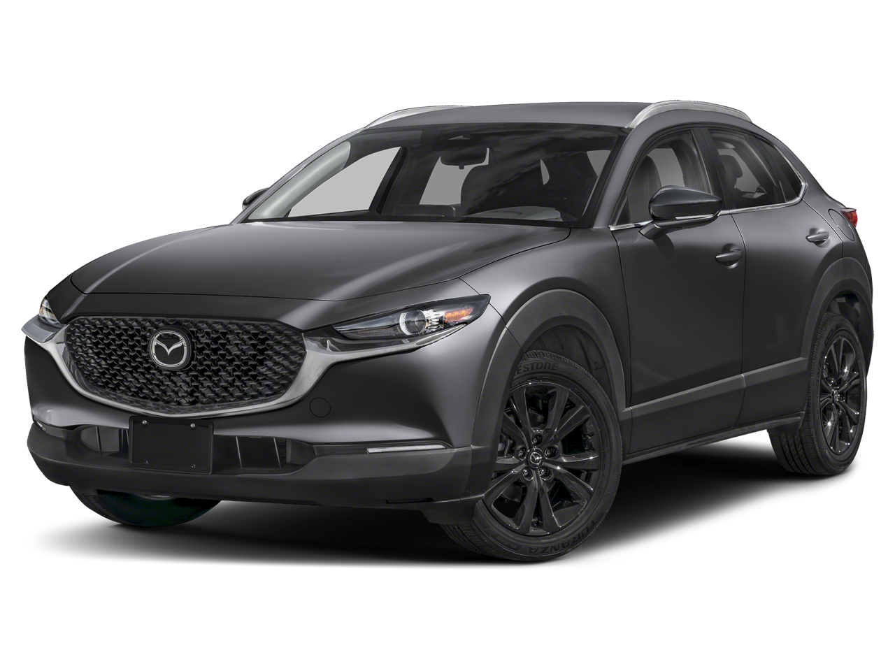 2025 Mazda CX-30 Vehicle Photo in Neenah, WI 54956